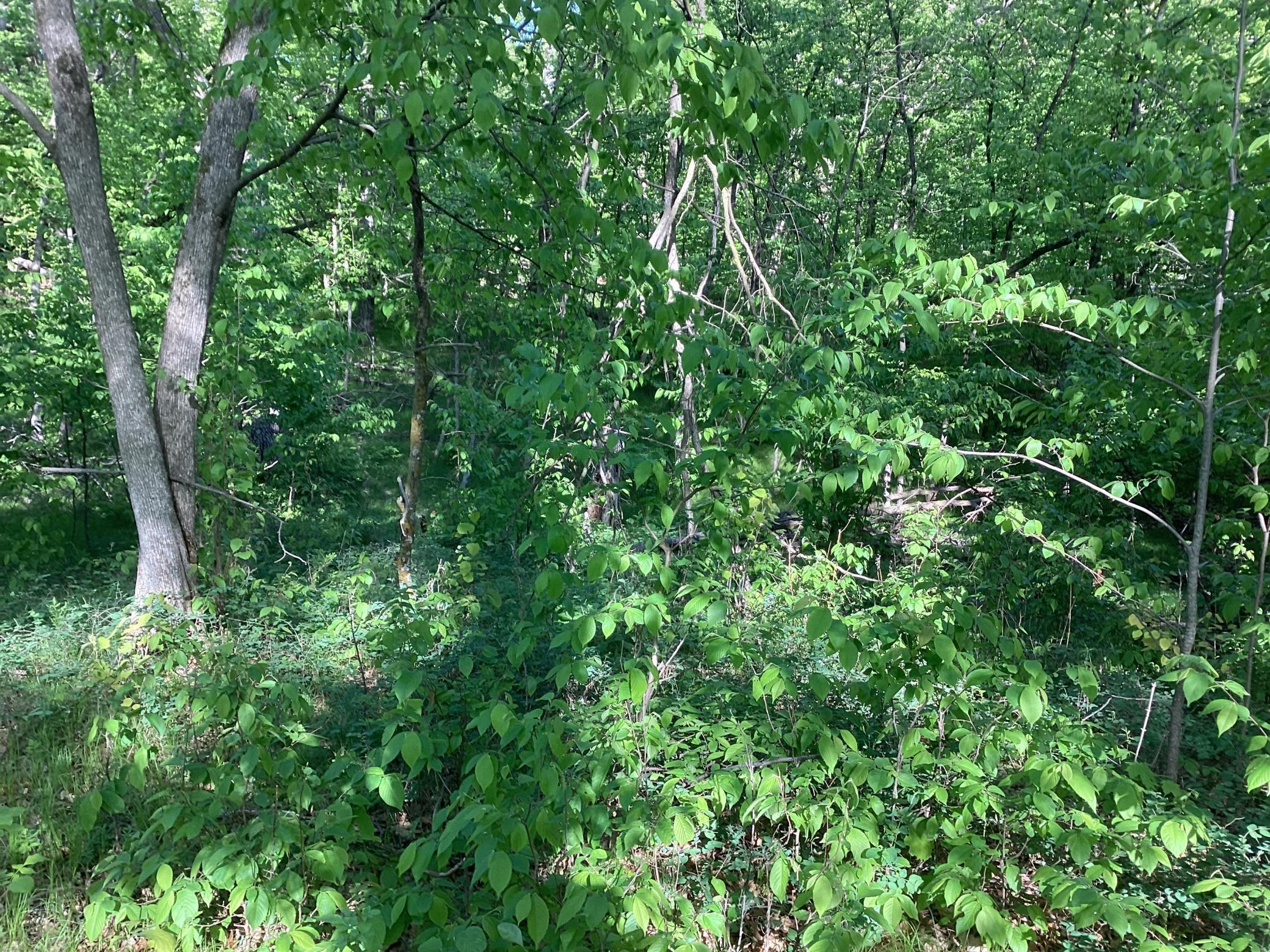 TBD Hidden Oaks Drive, Alexandria, Minnesota image 14
