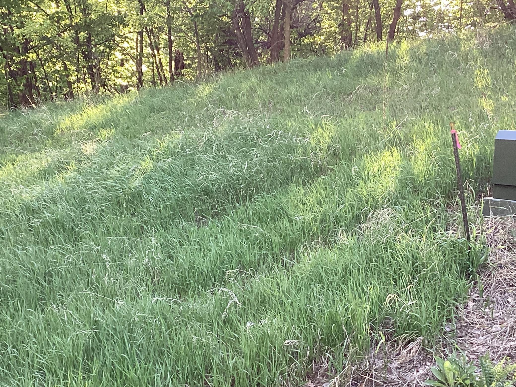 TBD Hidden Oaks Drive, Alexandria, Minnesota image 12