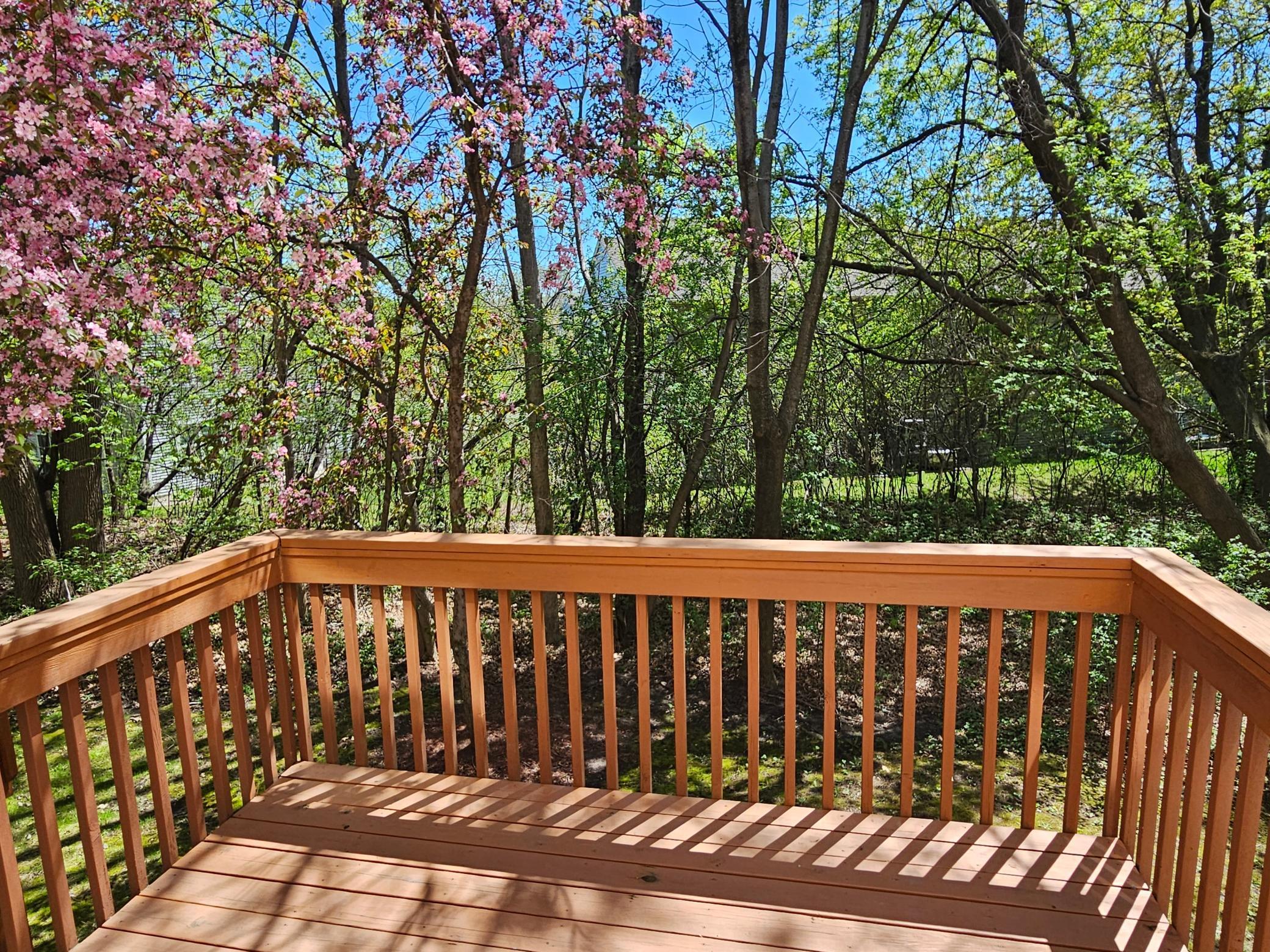 16873 79th Avenue, Maple Grove, Minnesota image 12