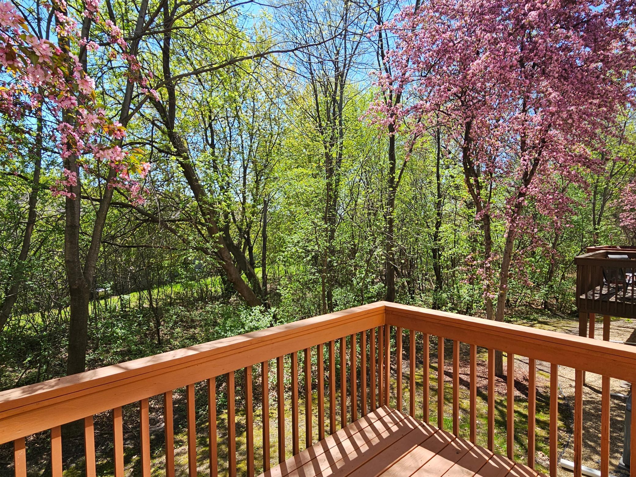 16873 79th Avenue, Maple Grove, Minnesota image 11