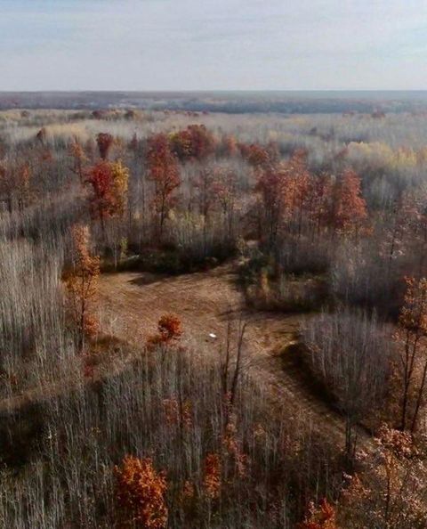 Vacant Land For Sale - 64997 Rutabaga Road<br/> Pine County, Sandstone, MN 55072