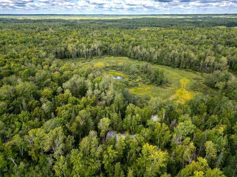 Vacant Land For Sale - 48029 110th Place<br/> Aitkin County, Tamarack, MN 55787