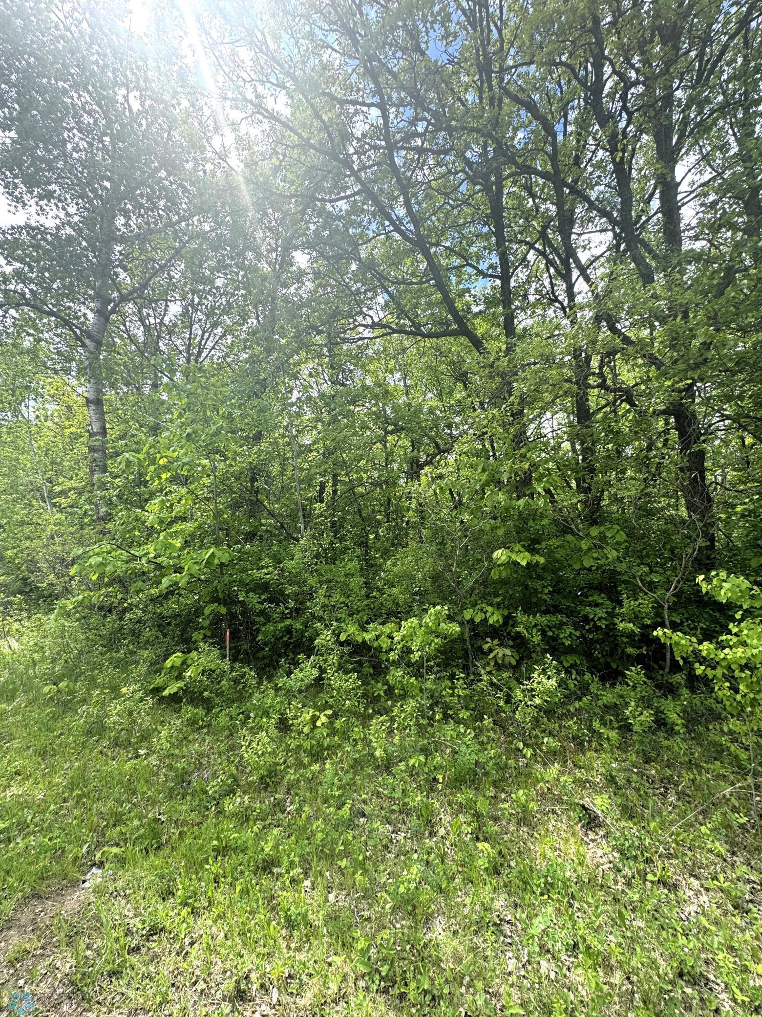 (Lot 6) TBD Ponderosa Lane, Waubun, Minnesota image 2