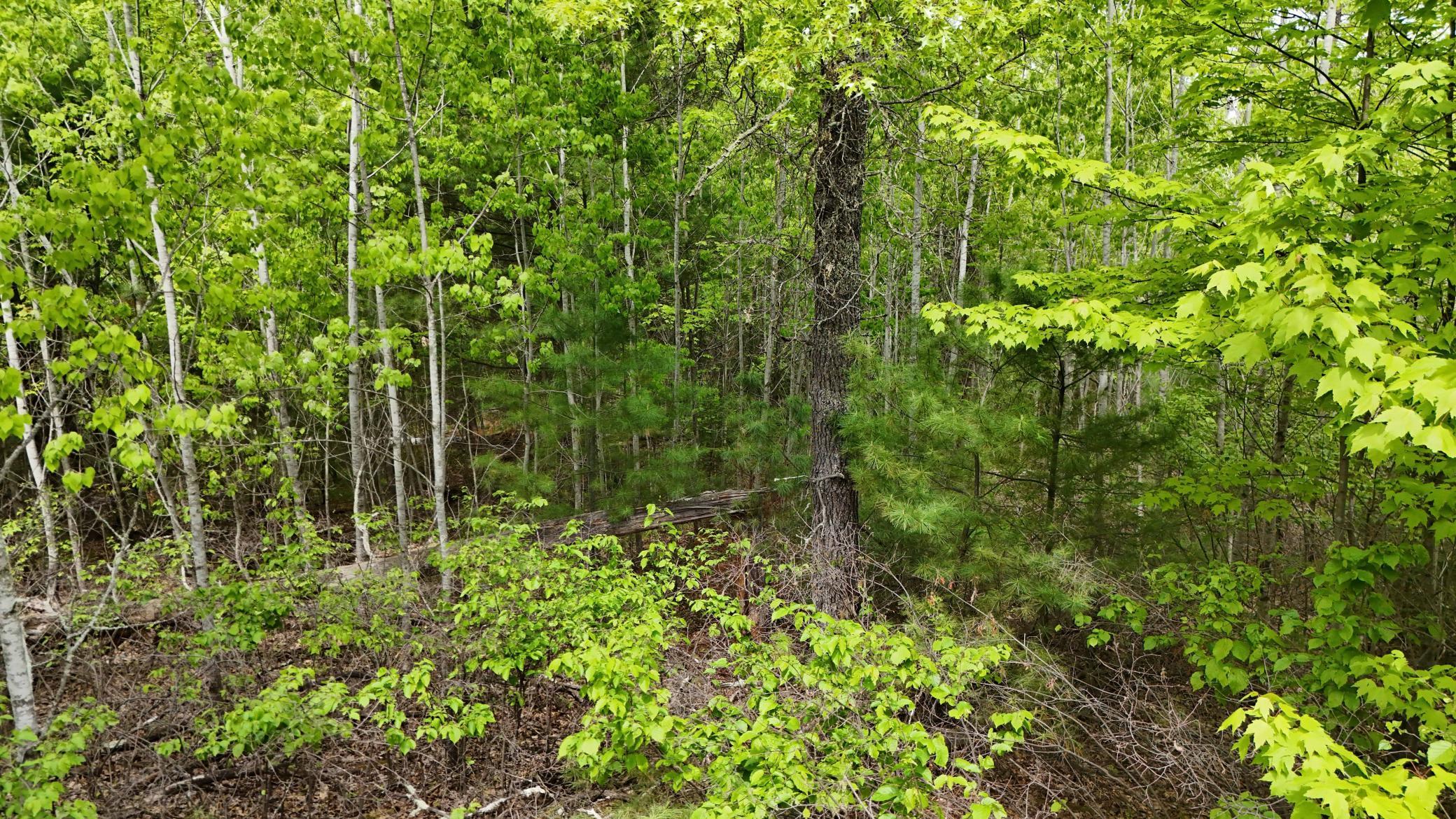 Lot 2 E Lakewood Drive, Wascott, Wisconsin image 7