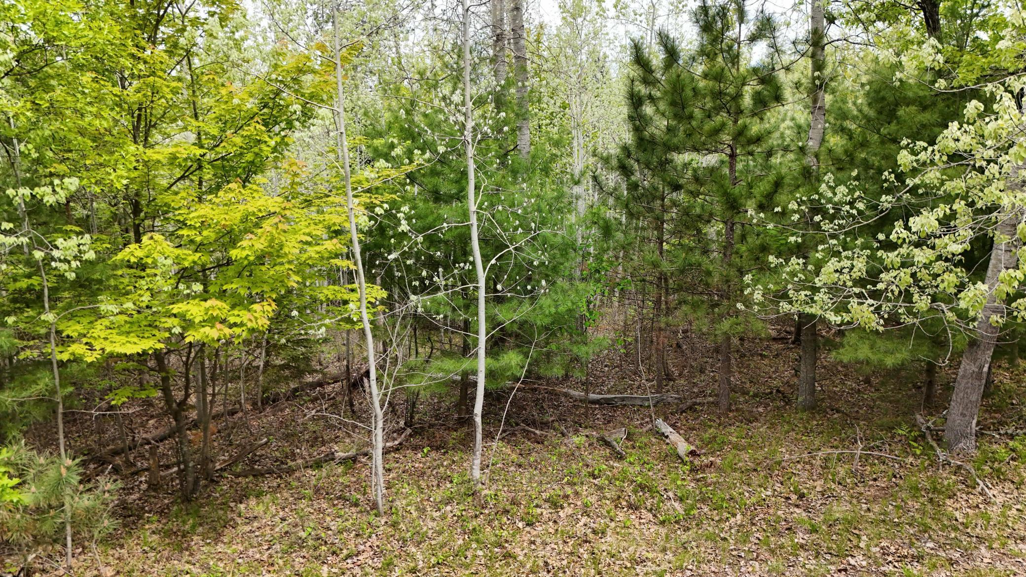 Lot 2 E Lakewood Drive, Wascott, Wisconsin image 6