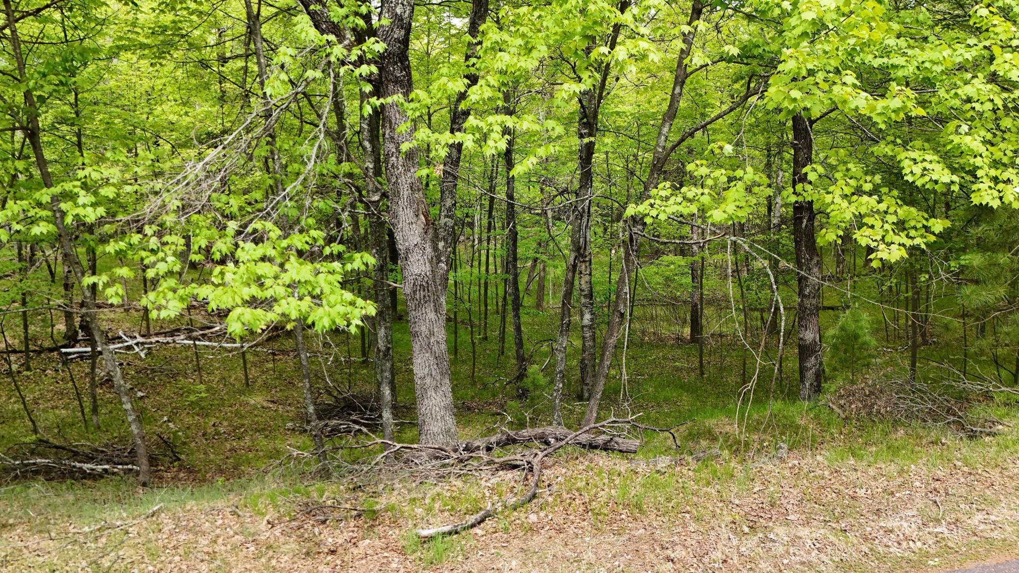 Lot 2 E Lakewood Drive, Wascott, Wisconsin image 8