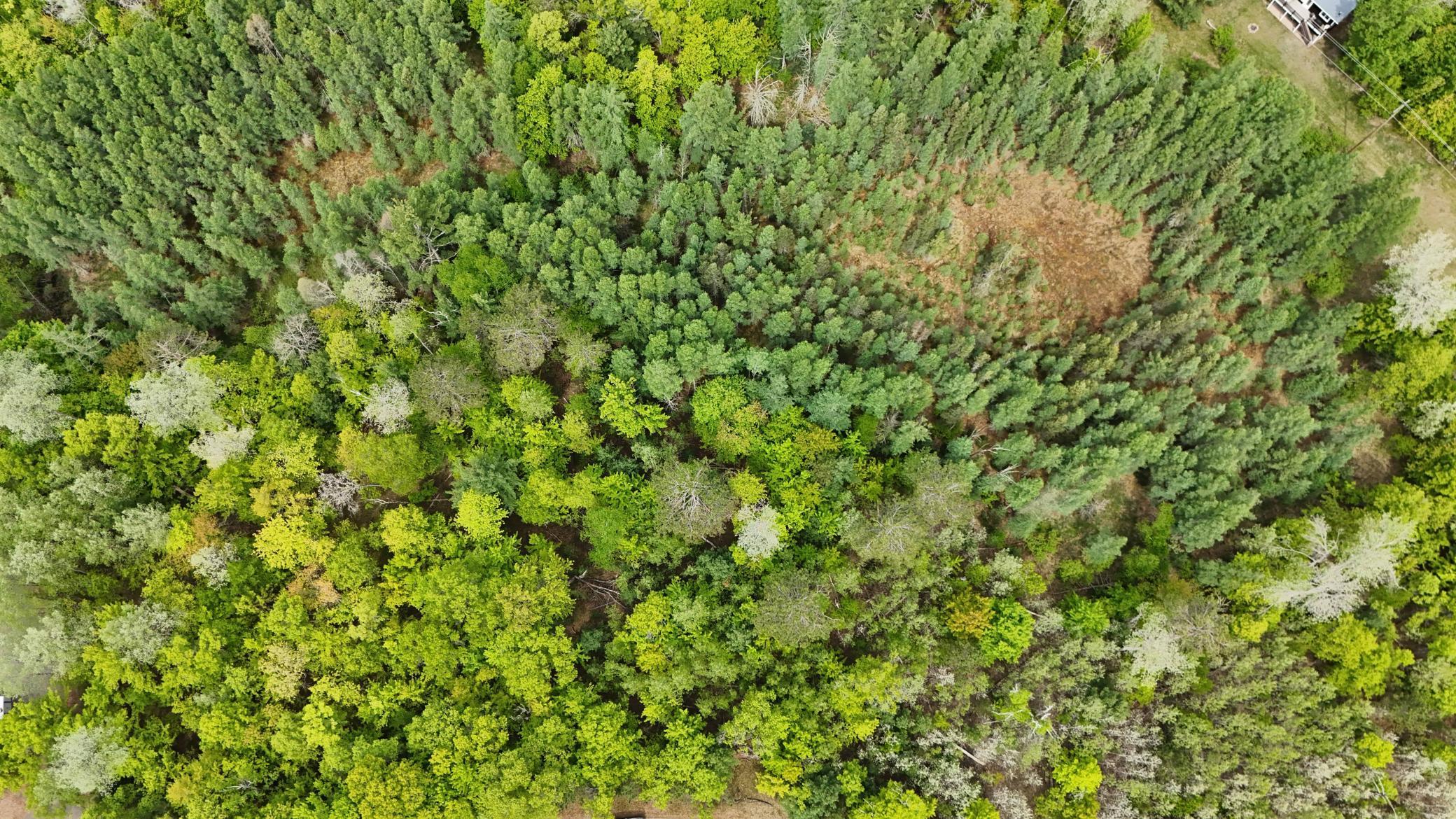 Lot 2 E Lakewood Drive, Wascott, Wisconsin image 13