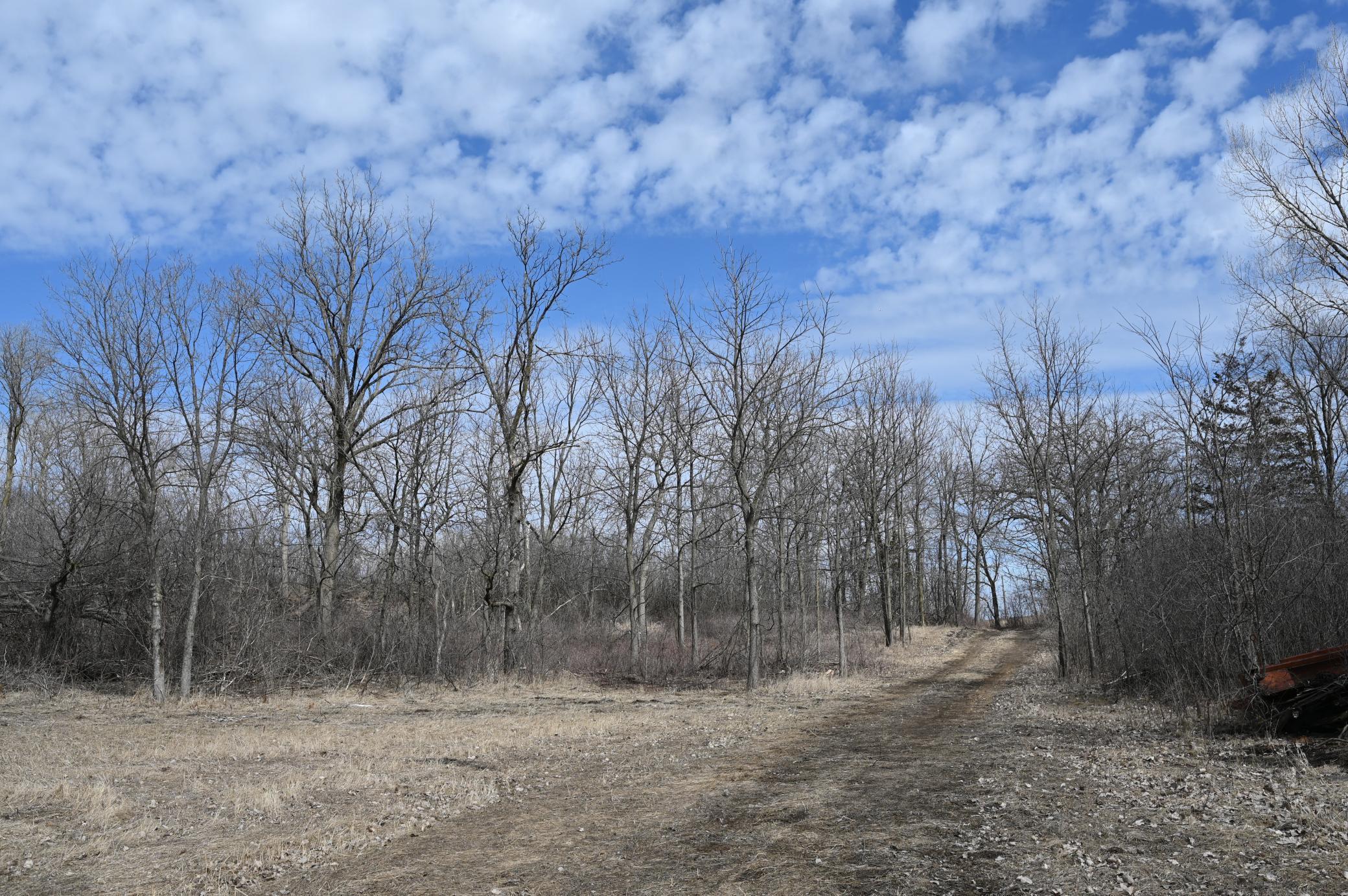 XXX County Road 64, Jordan, Minnesota image 29