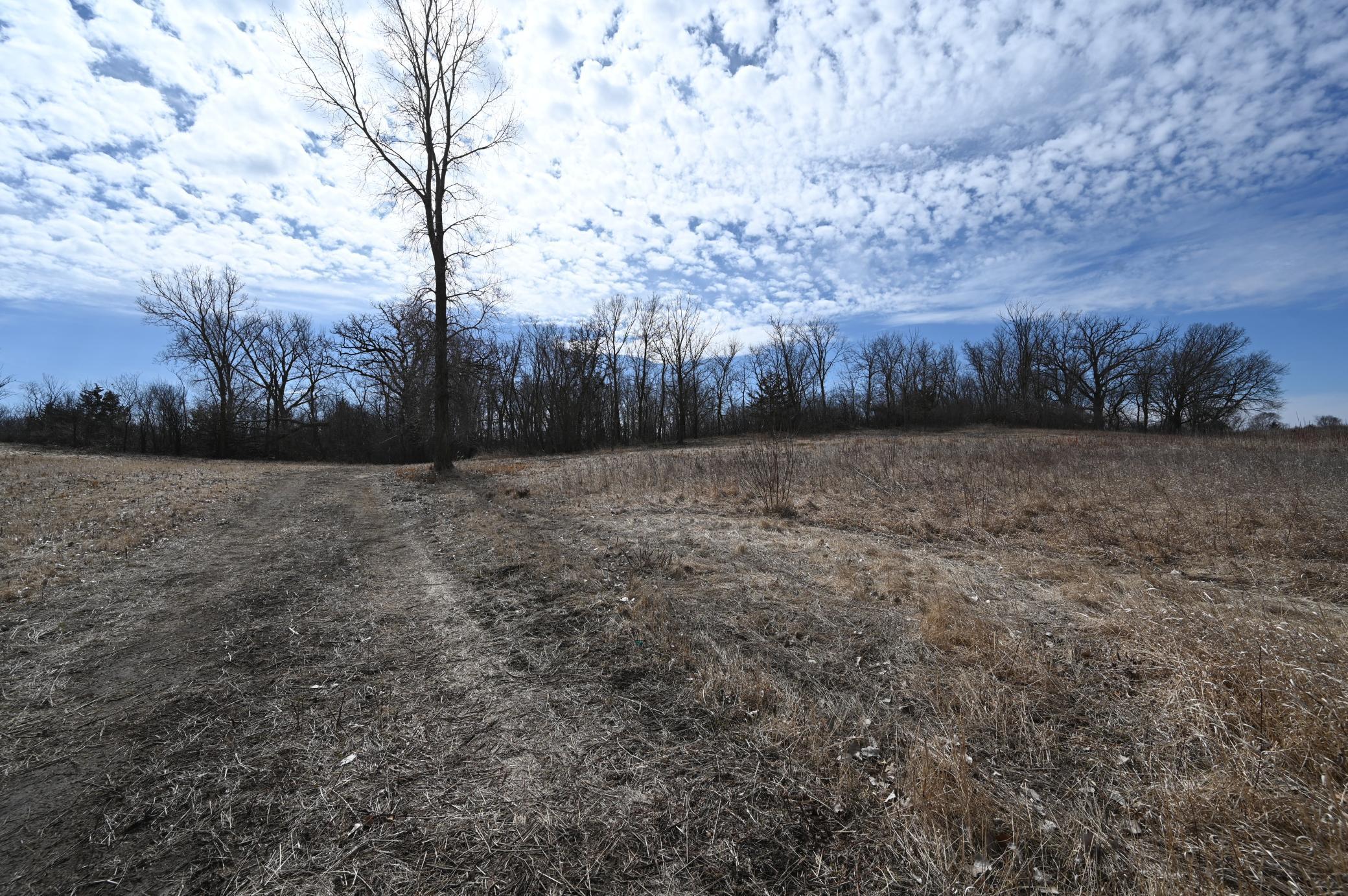XXX County Road 64, Jordan, Minnesota image 4