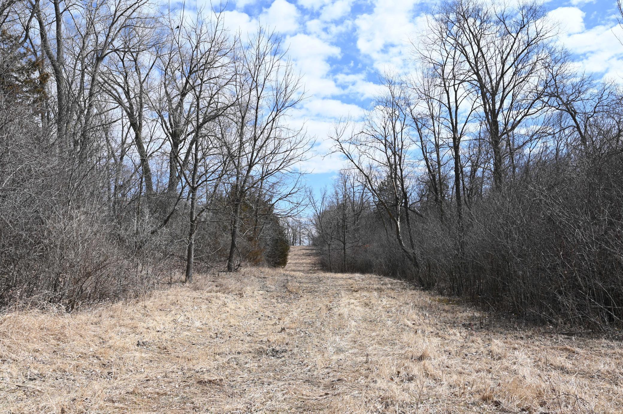 XXX County Road 64, Jordan, Minnesota image 27