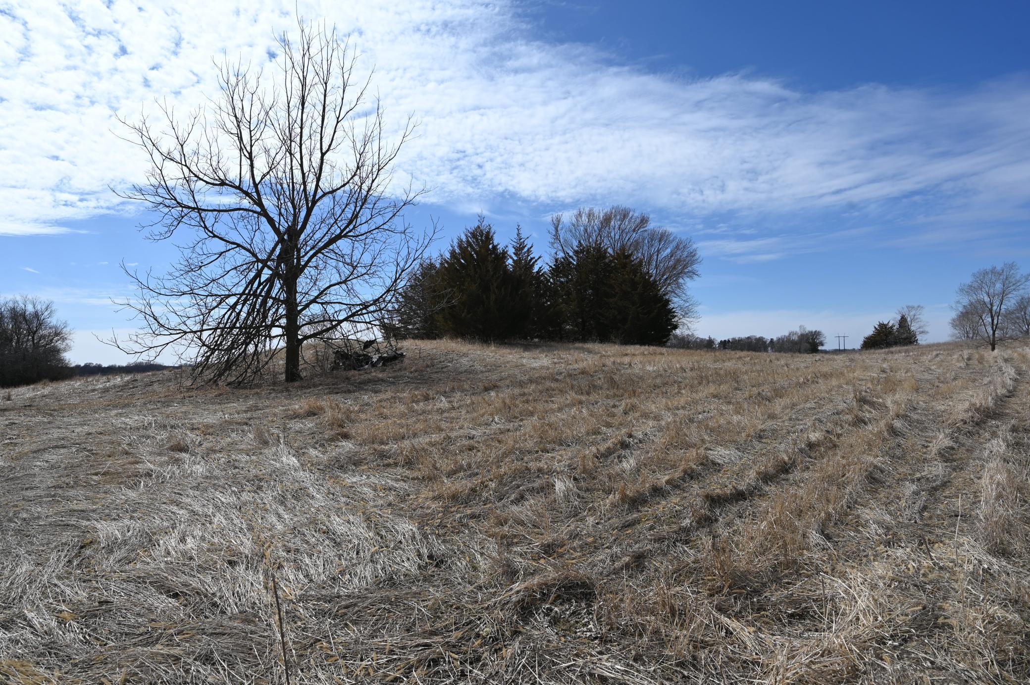 XXX County Road 64, Jordan, Minnesota image 24
