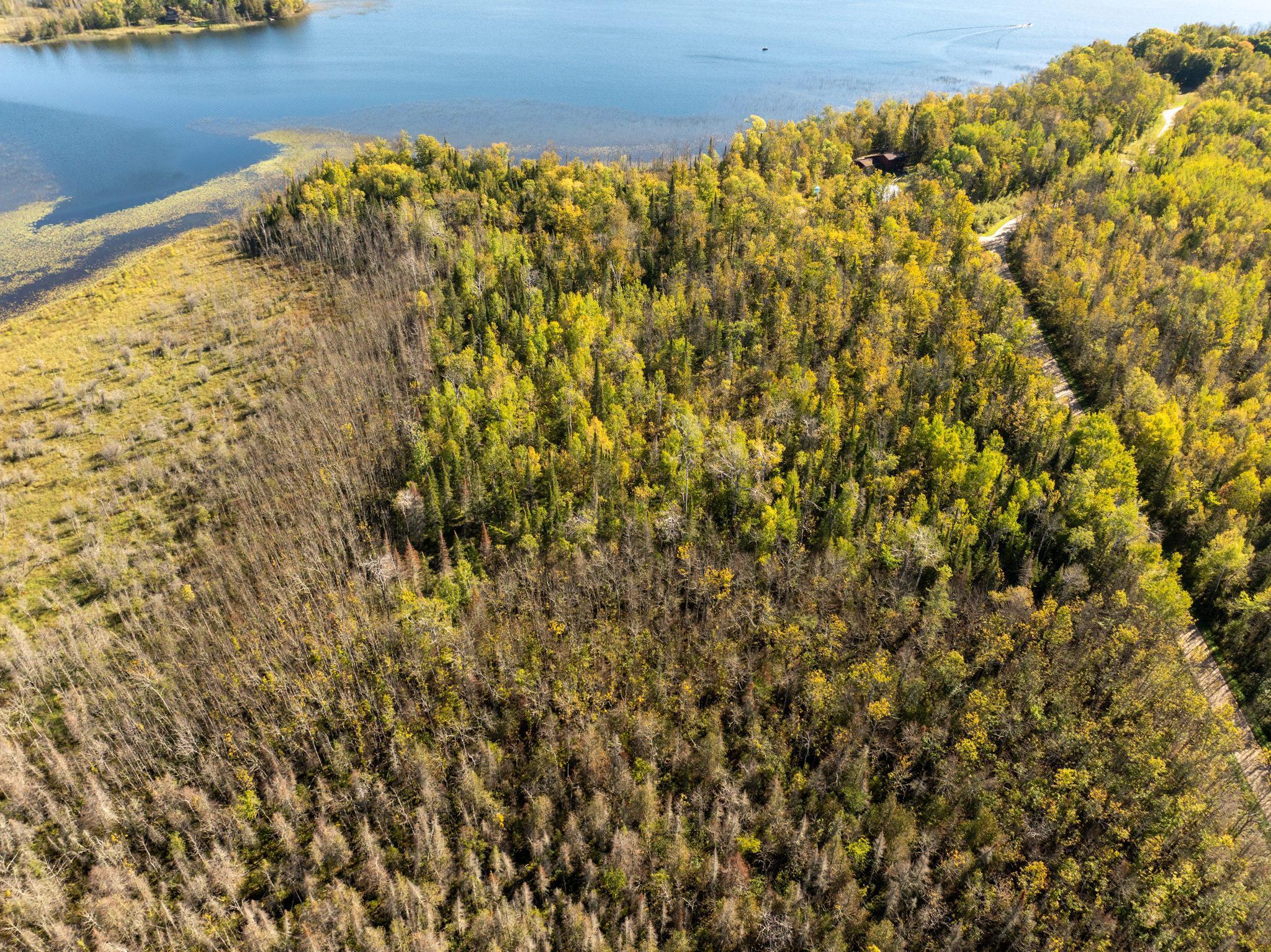 TBD Cedar Point Rd, Marcell, Minnesota image 2