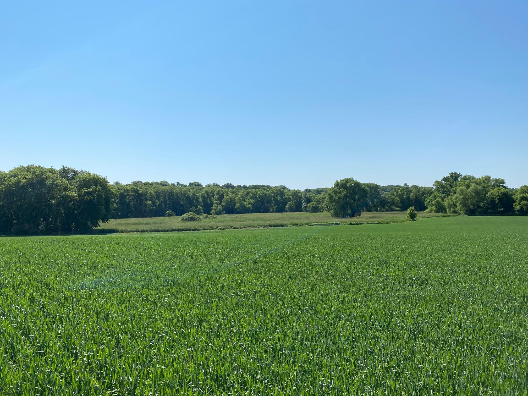 253x Pioneer Trail, Hamel, Minnesota image 26
