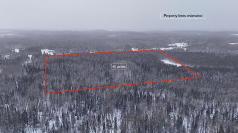 Vacant Land For Sale - XX40 Lavaque Road<br/> Saint Louis County, Duluth, MN 55802