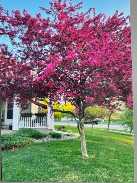 Townhouse For Sale - 66 Meadowlark Drive<br/> Hudson, WI 54016