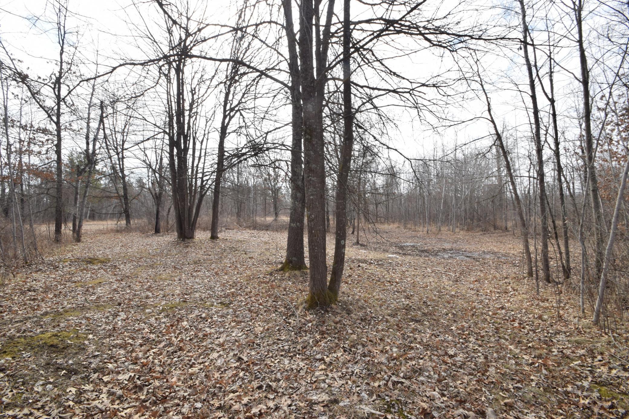 Lot 24 State Hwy 77 St, Danbury, Wisconsin image 17