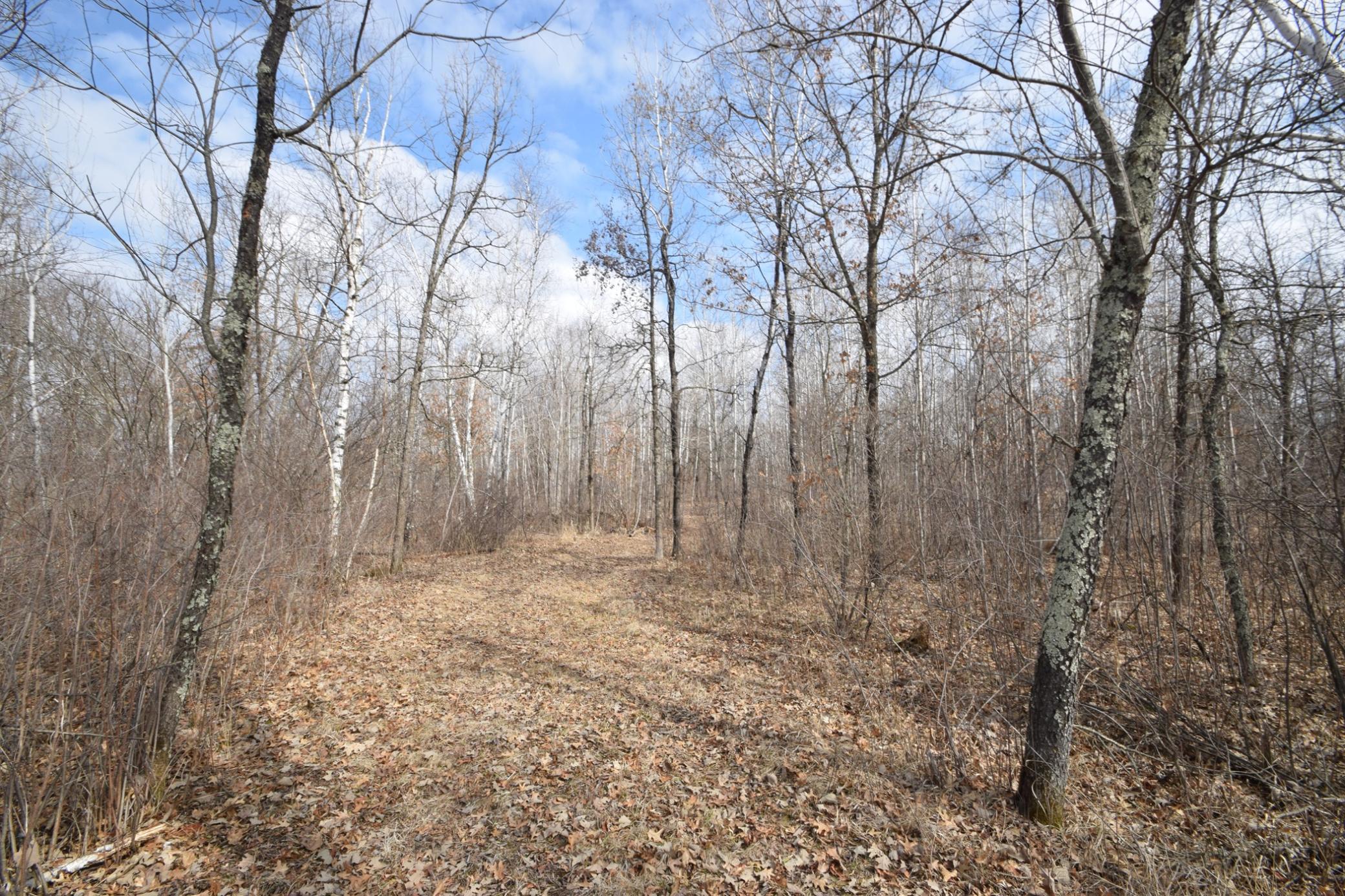Lot 24 State Hwy 77 St, Danbury, Wisconsin image 31
