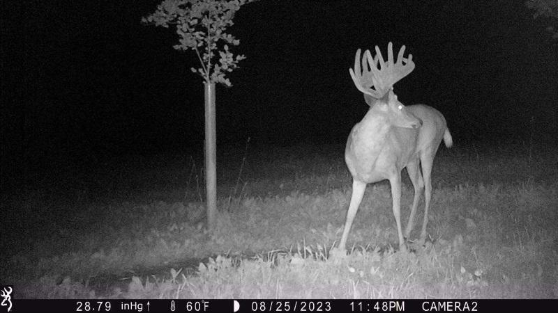 TBD 290th Street, Waubun, Minnesota image 44