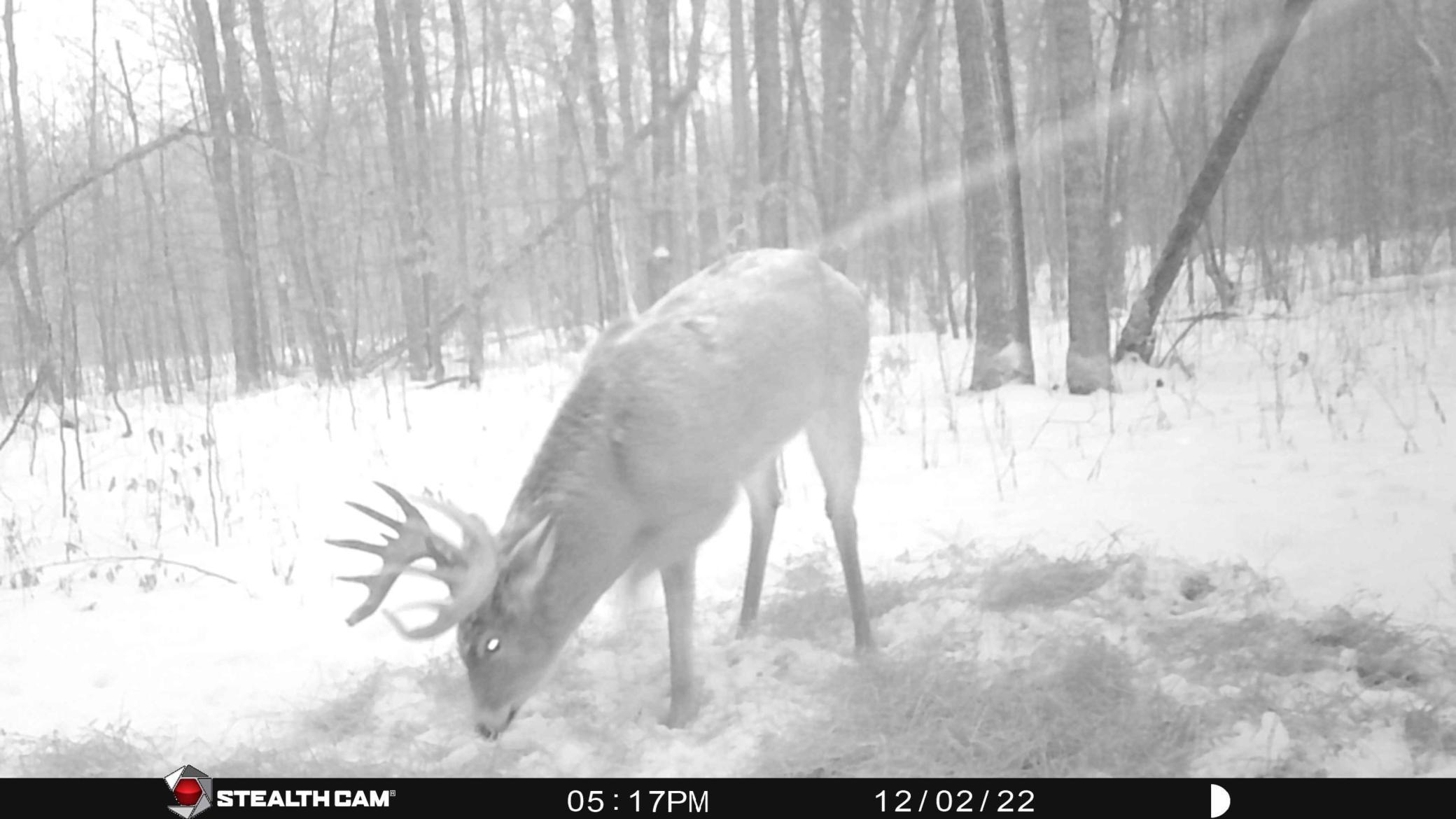 TBD 290th Street, Waubun, Minnesota image 48