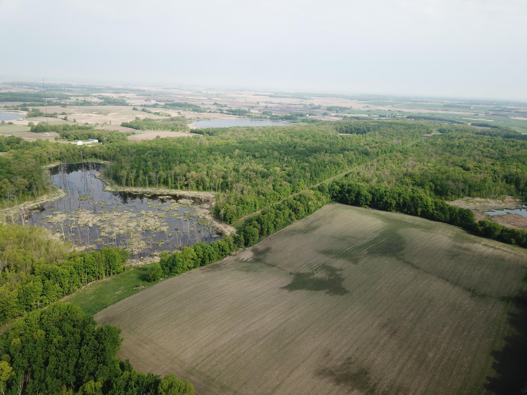 TBD 290th Street, Waubun, Minnesota image 13