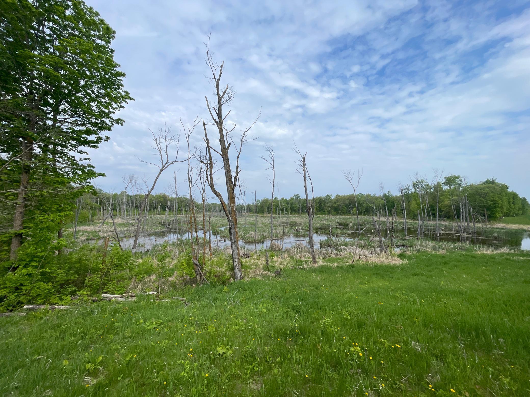 TBD 290th Street, Waubun, Minnesota image 21