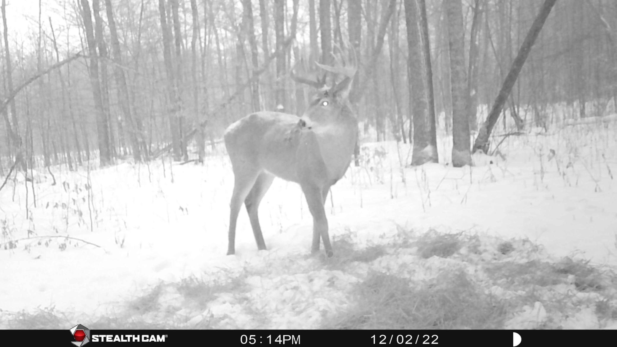 TBD 290th Street, Waubun, Minnesota image 50