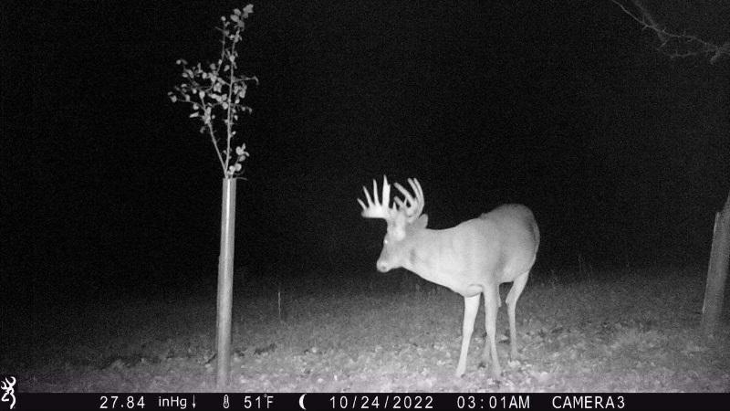 TBD 290th Street, Waubun, Minnesota image 43