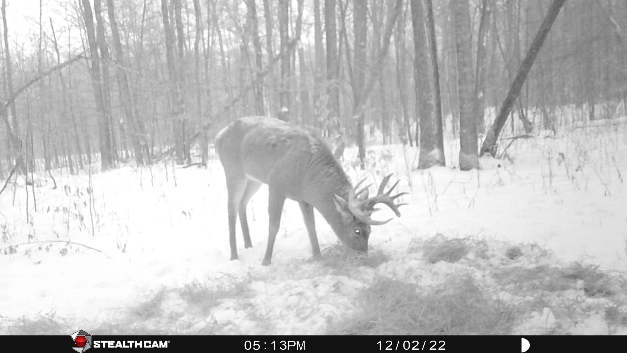 TBD 290th Street, Waubun, Minnesota image 49
