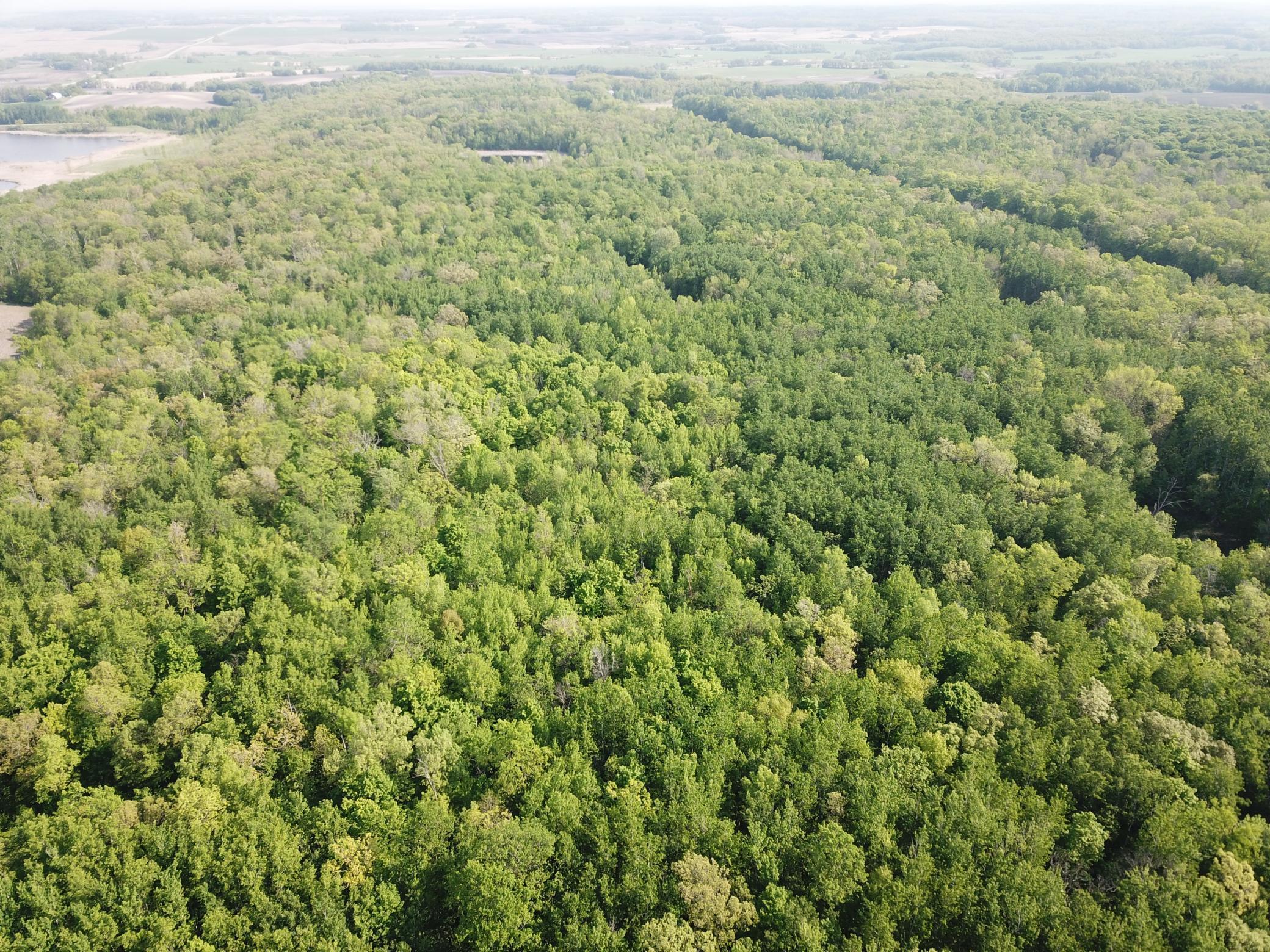 TBD 290th Street, Waubun, Minnesota image 11