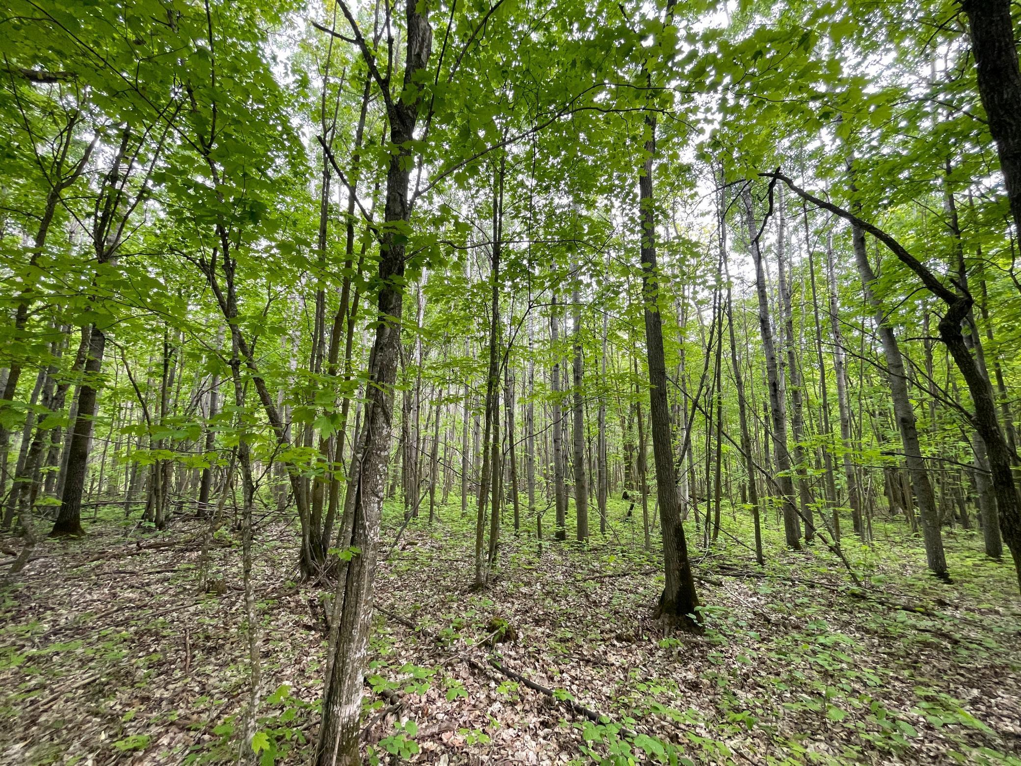 TBD 290th Street, Waubun, Minnesota image 30