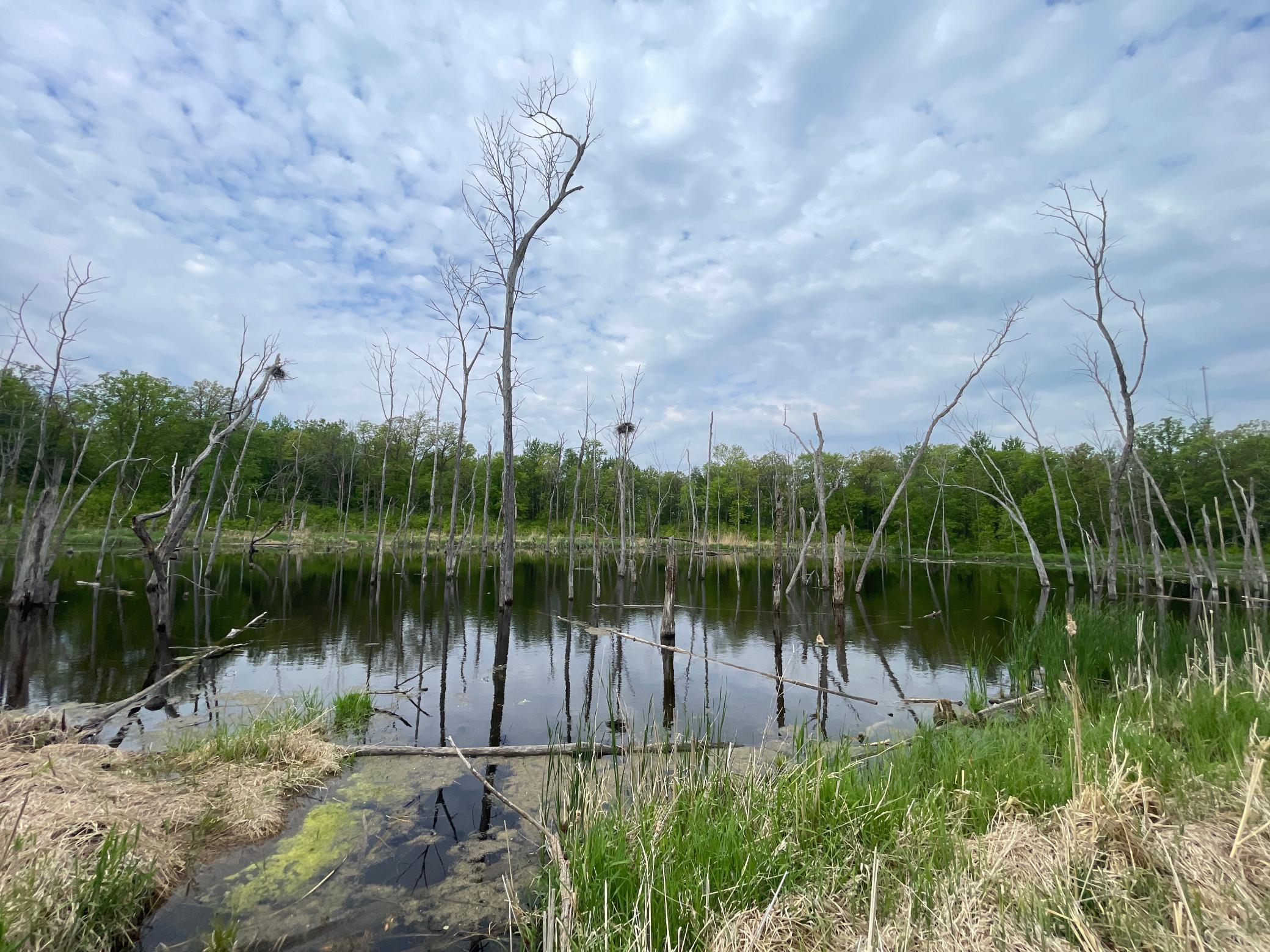 TBD 290th Street, Waubun, Minnesota image 37