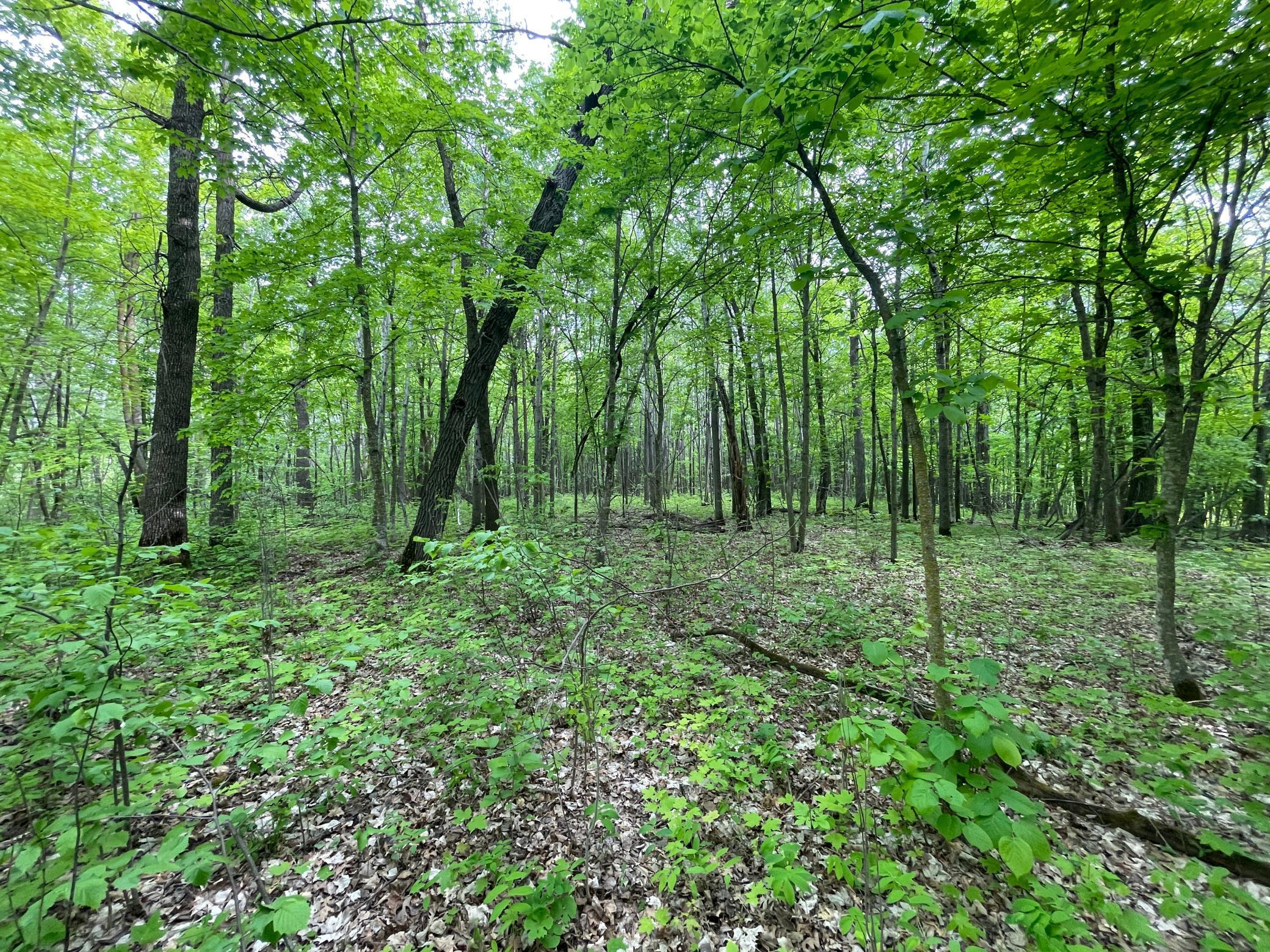 TBD 290th Street, Waubun, Minnesota image 28