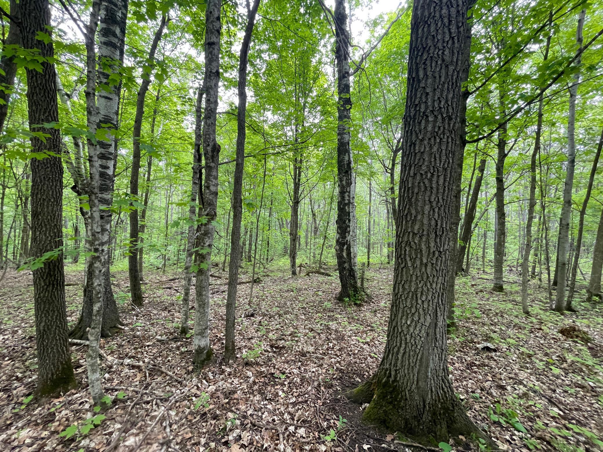 TBD 290th Street, Waubun, Minnesota image 32