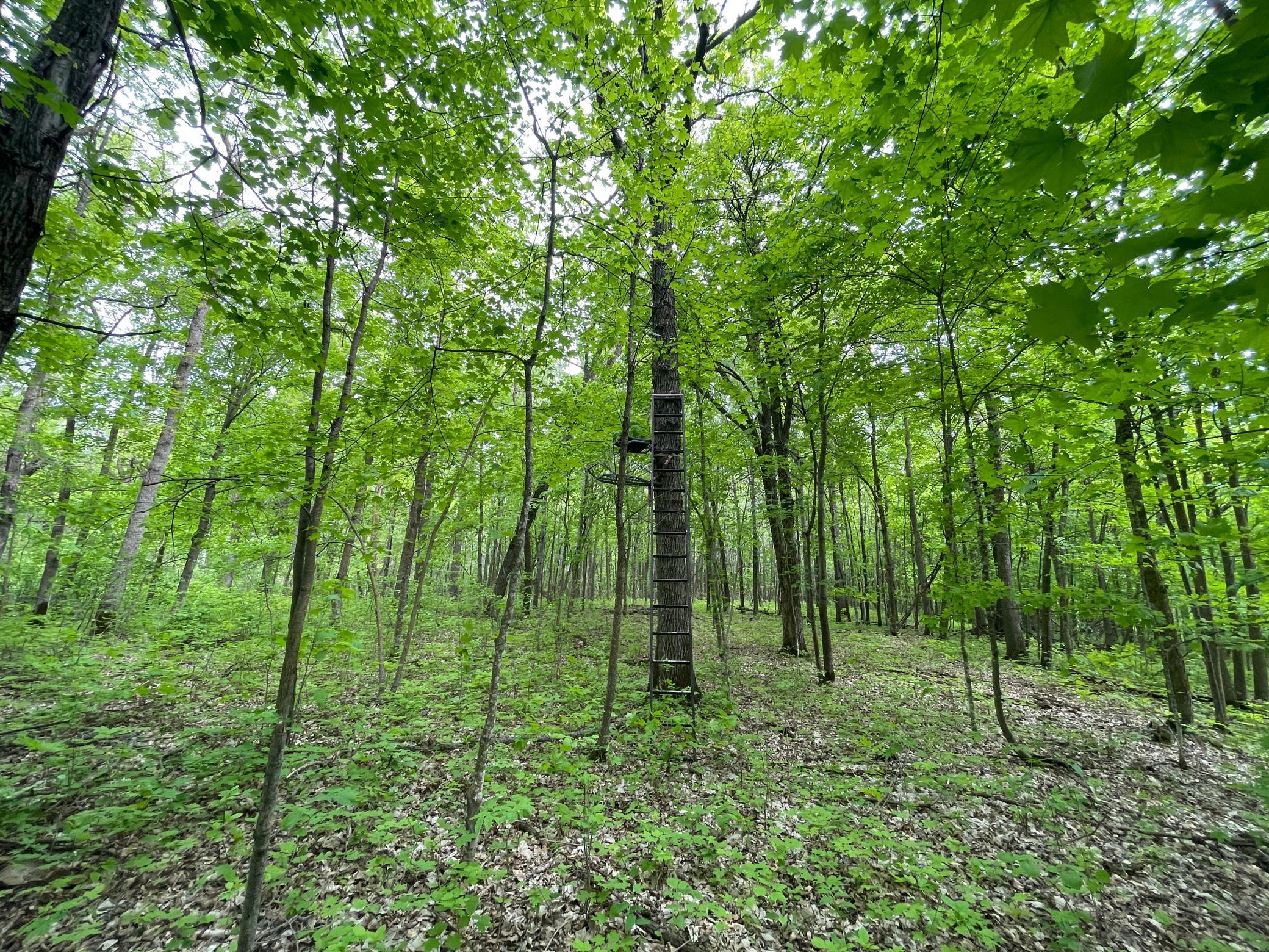 TBD 290th Street, Waubun, Minnesota image 27