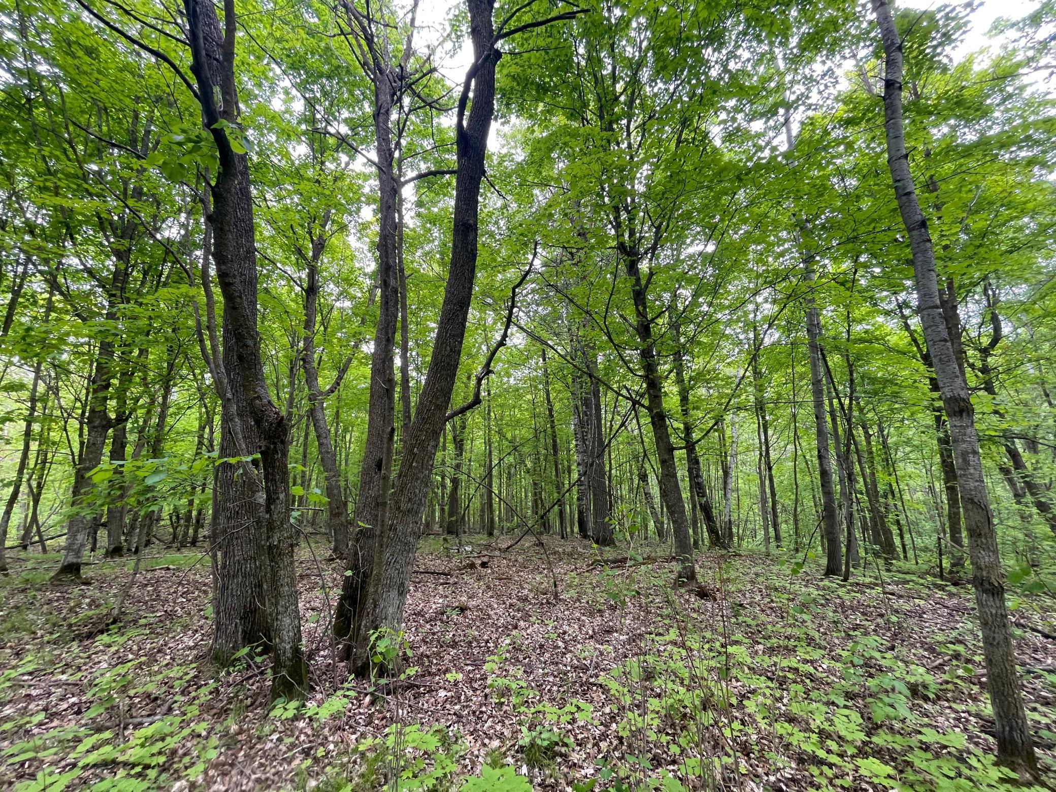 TBD 290th Street, Waubun, Minnesota image 31