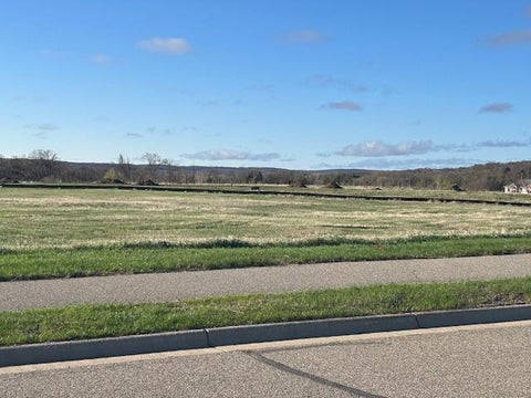 Vacant Land For Sale - 113 Woolgrass Way<br/> Avon, MN 56310