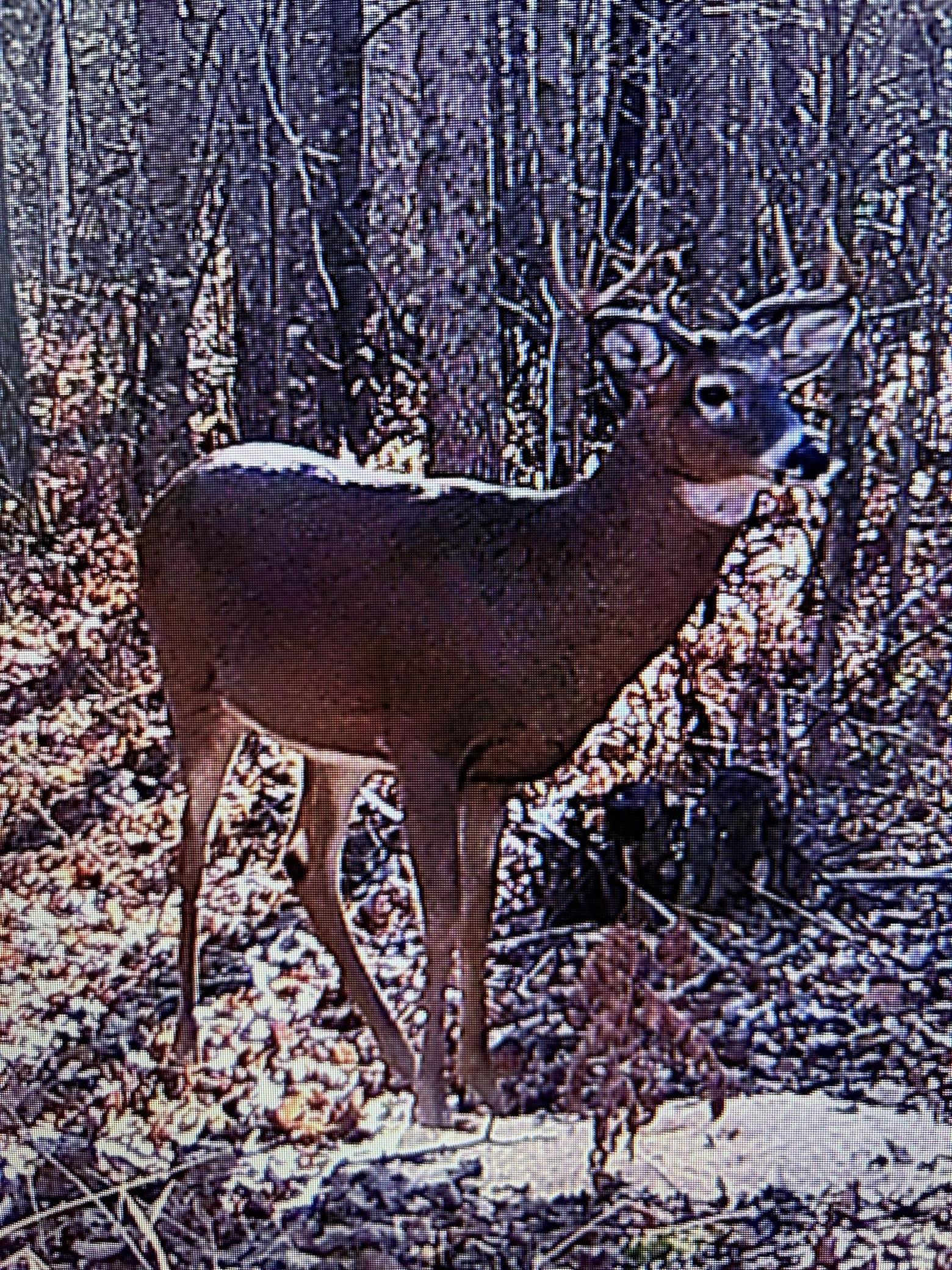 13598 County 8, Bena, Minnesota image 6