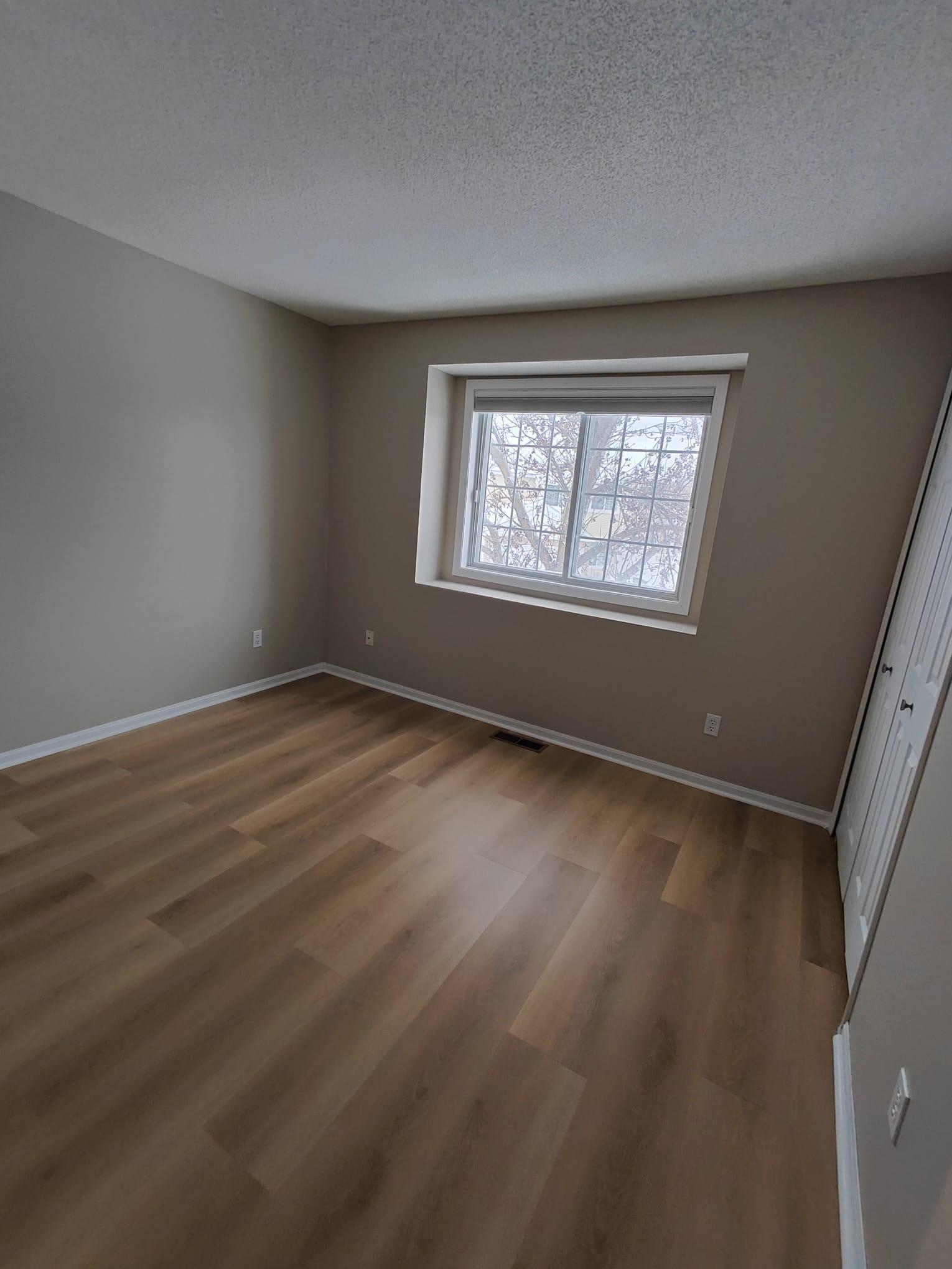 11641 Elmwood Avenue, Champlin, Minnesota image 10