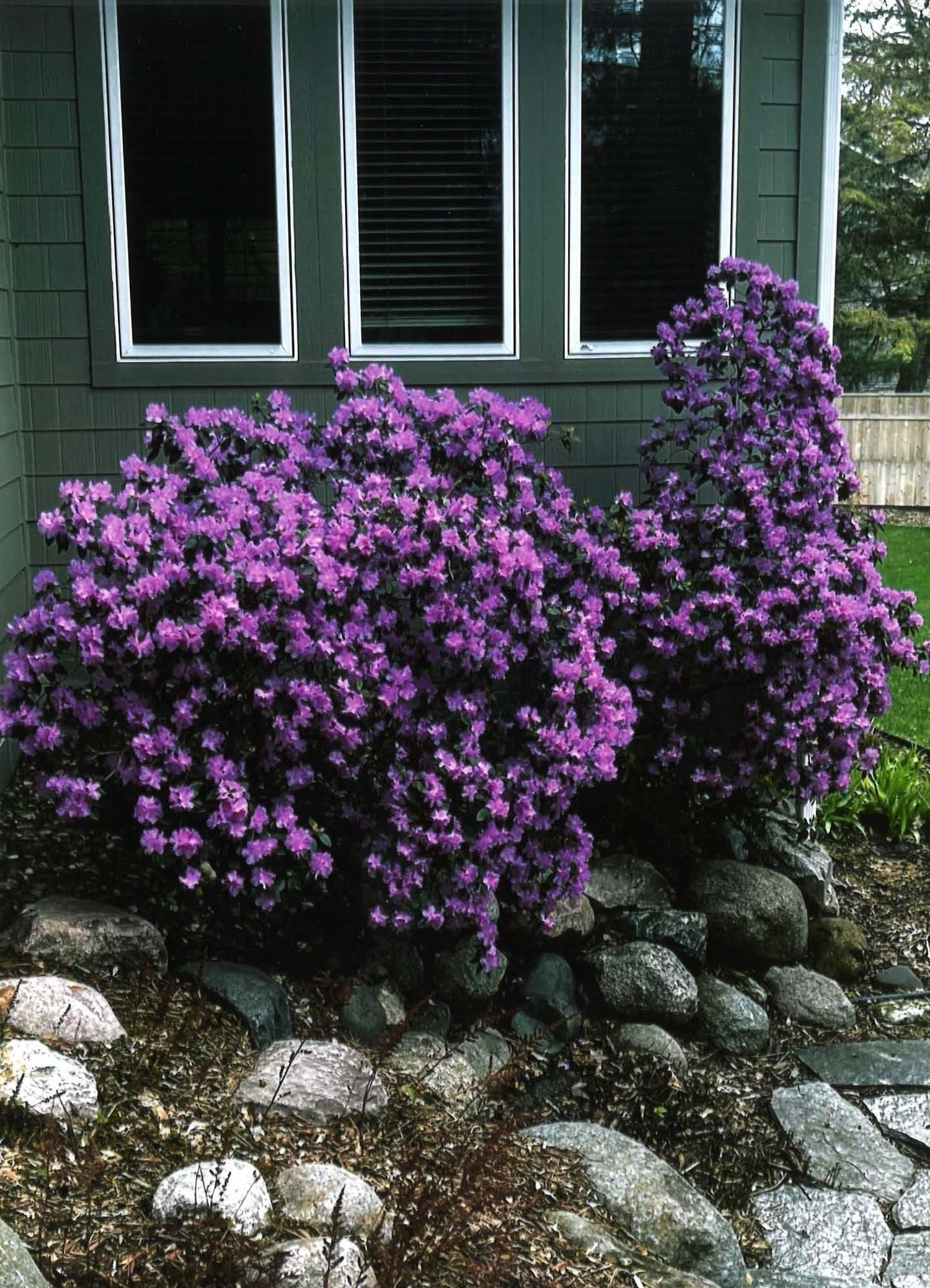 15703 Sussex Drive, Minnetonka, Minnesota image 46