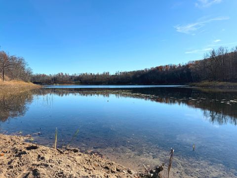 Vacant Land For Sale - TBD 330th Avenue<br/> Rochert, MN 56578