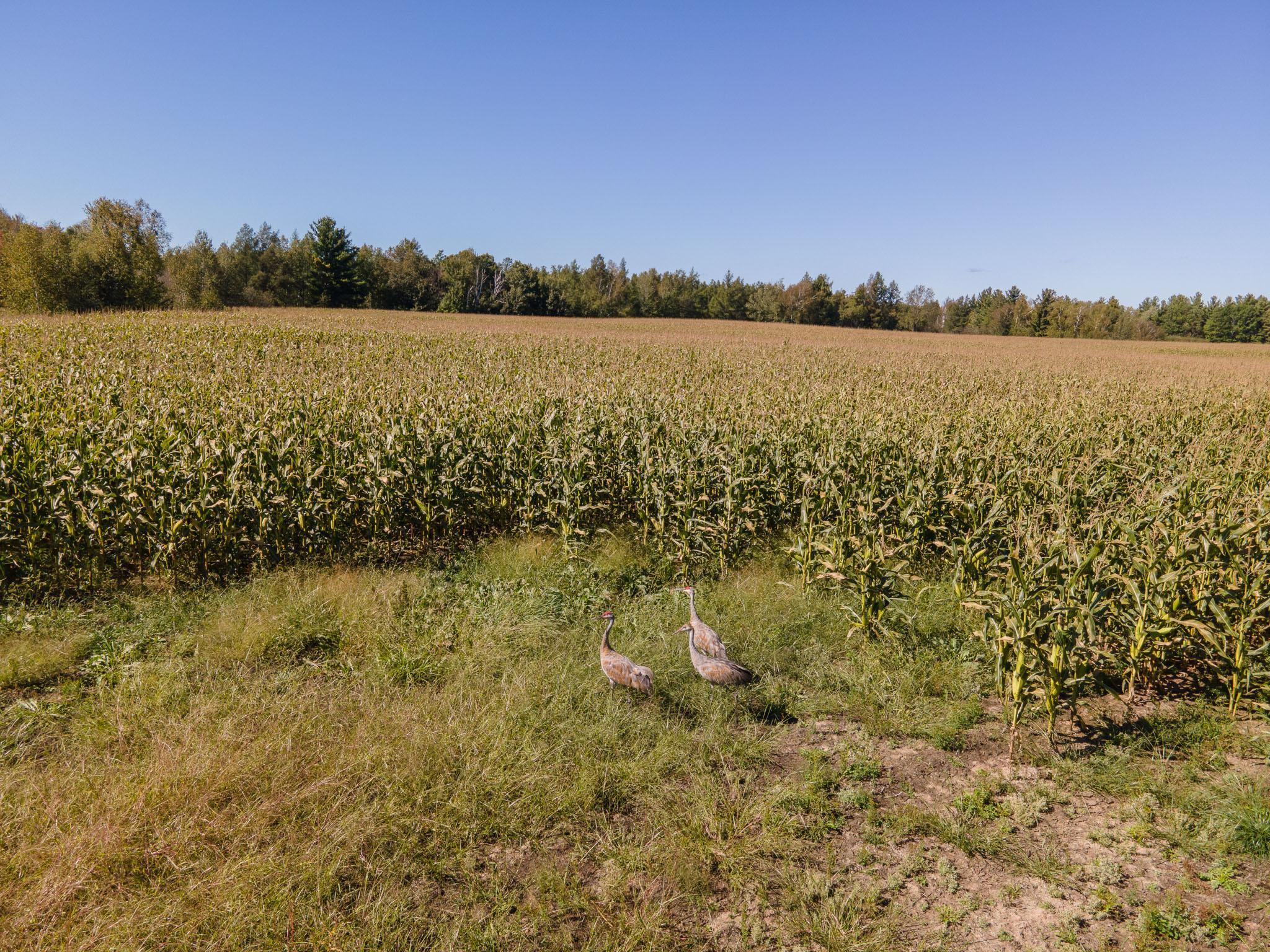 000 Hinckley Road, Hinckley, Minnesota image 13