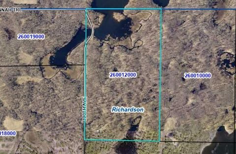 Vacant Land For Sale - 27254 390th Avenue<br/> Hillman, MN 56338