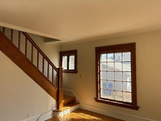 445 Morton Street, Saint Paul, Minnesota image 9