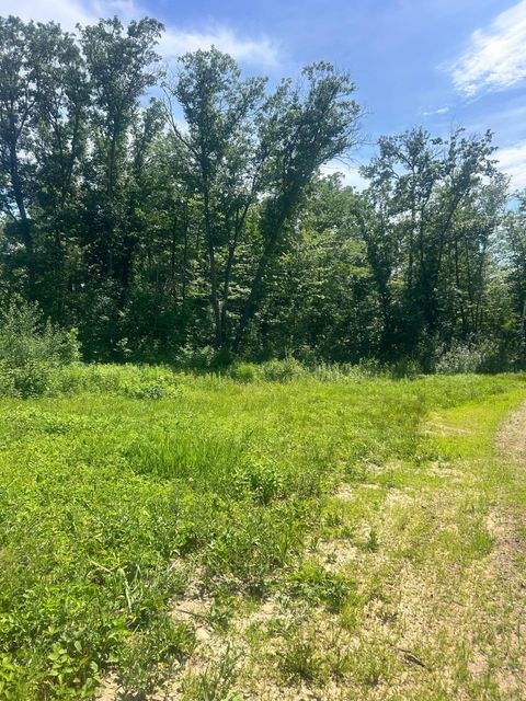 Vacant Land For Sale - 27536 Norway Trail<br/> Morrison County, Randall, MN 56475