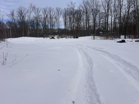 Vacant Land For Sale - 27536 Norway Trail<br/> Randall, MN 56475