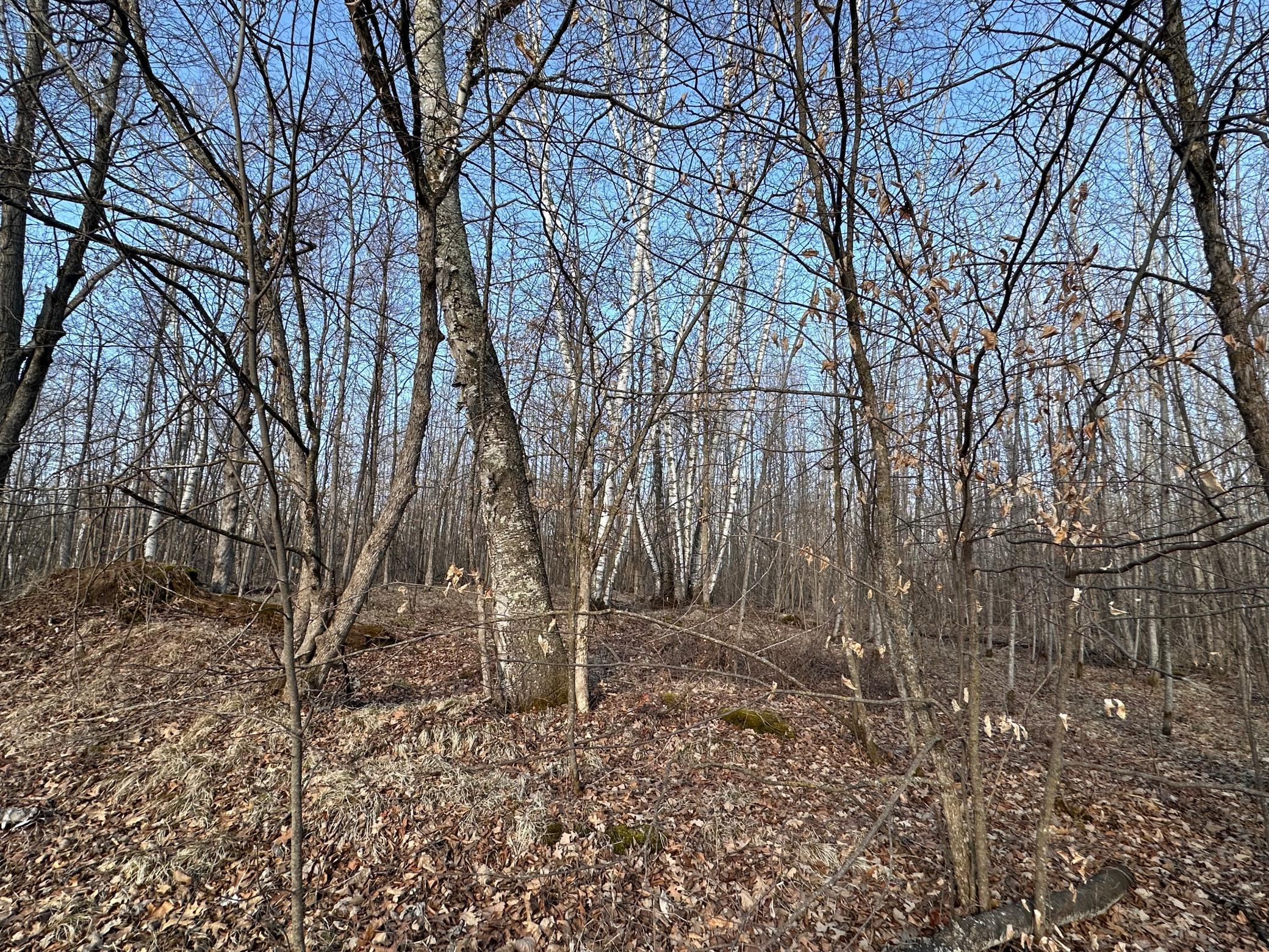 TBD Bass Lake Road, Osage, Minnesota image 12