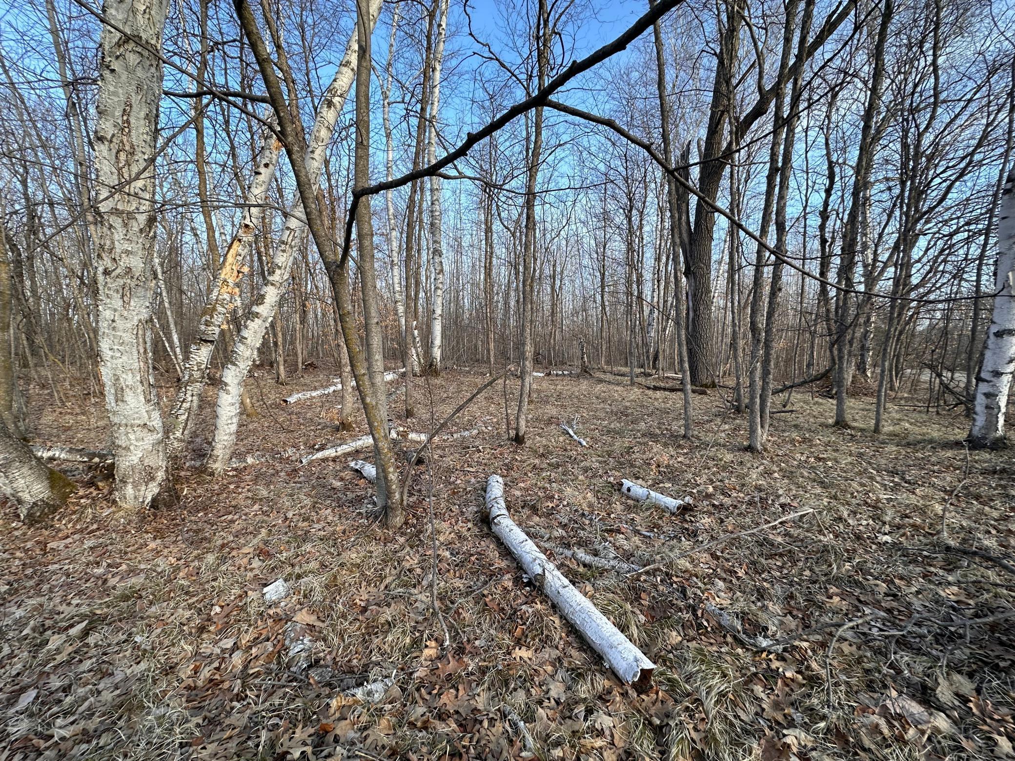 TBD Bass Lake Road, Osage, Minnesota image 13
