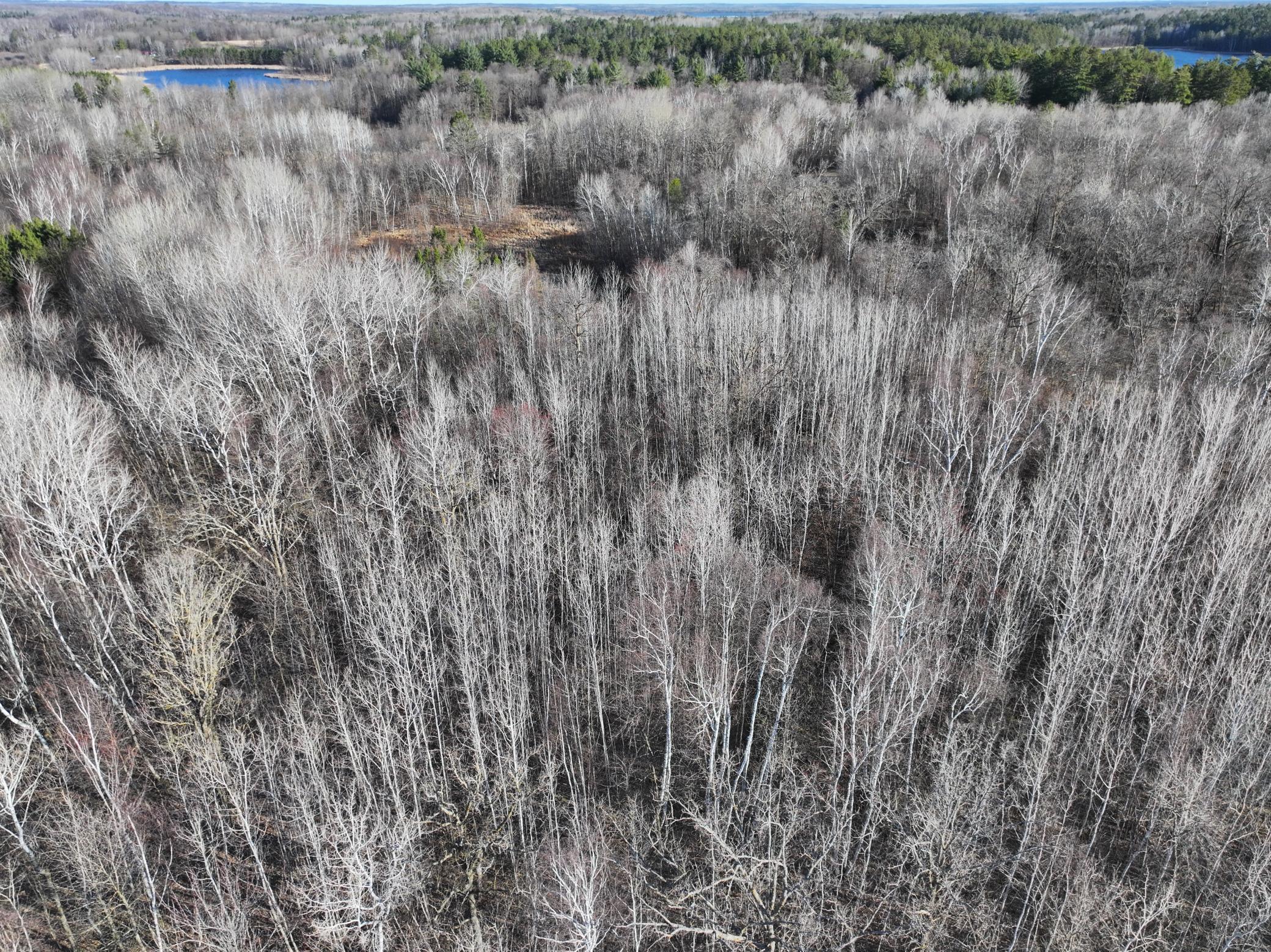 TBD Bass Lake Road, Osage, Minnesota image 6