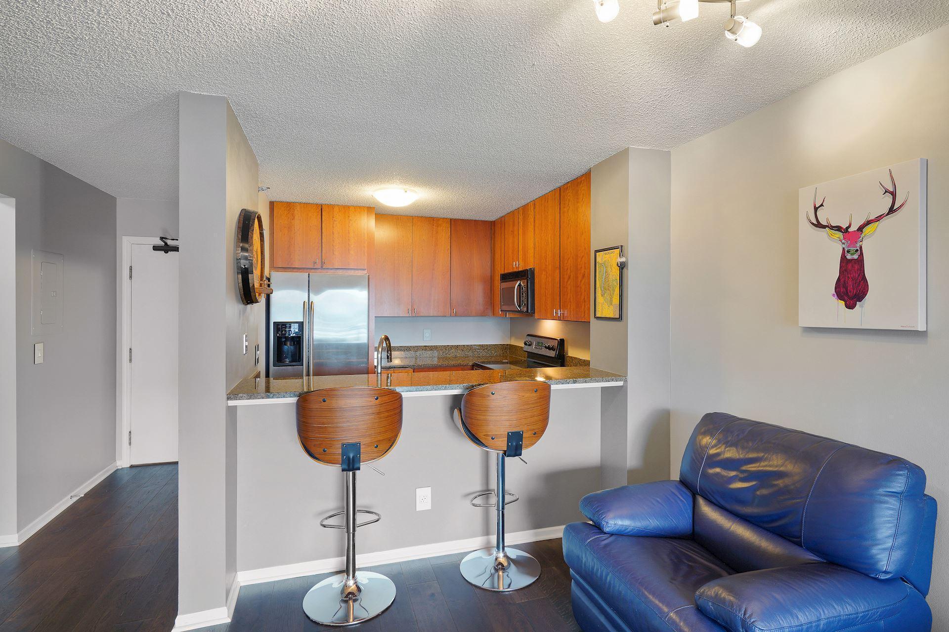 401 S 1st Street #603, Minneapolis, Minnesota image 8