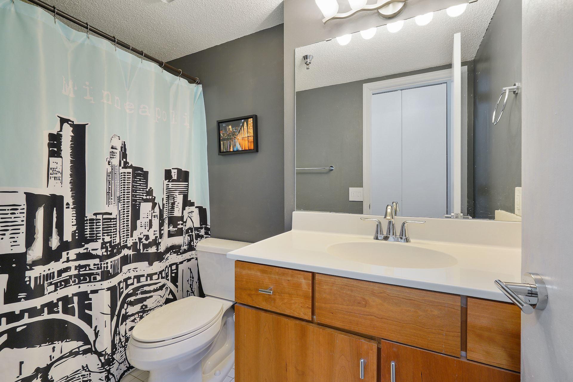 401 S 1st Street #603, Minneapolis, Minnesota image 14
